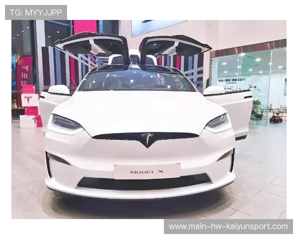 沉稳如奥迪A8，多特飙得像特斯拉Plaid！，多特是什么意思